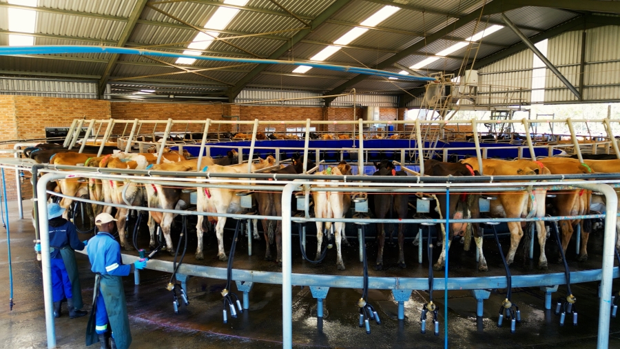 0 Bedroom Property for Sale in Stutterheim Rural Eastern Cape